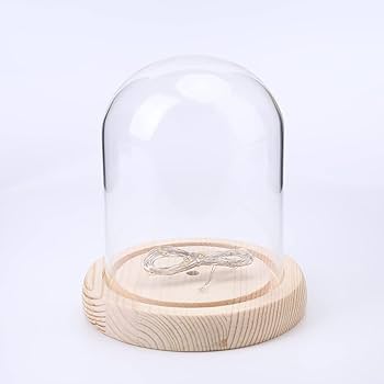 Amazon.co.jp : fengfeng スズラン フラワー 雰囲気 ライト